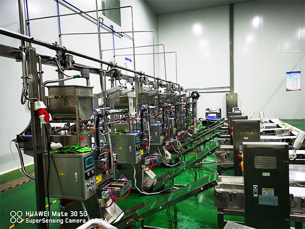 自動(dòng)化包裝流水線