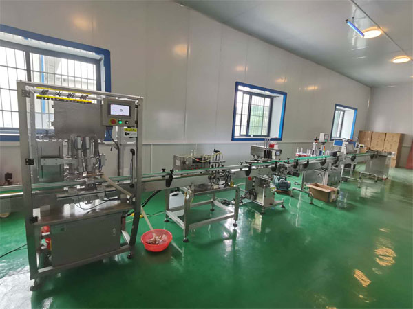 添加劑包裝流水線/添加劑定量包裝流水線廠房實拍圖